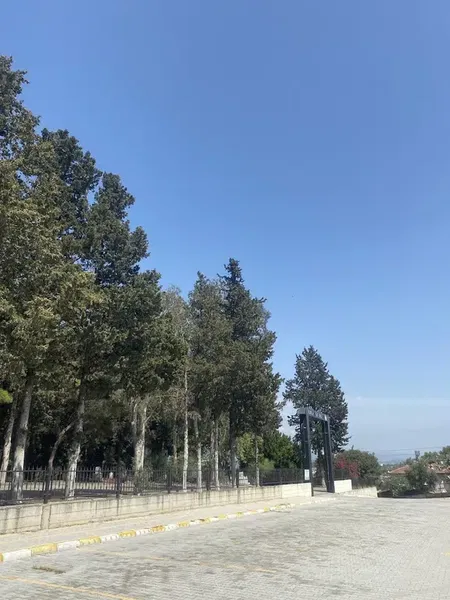 Mezarlık - Photo 7