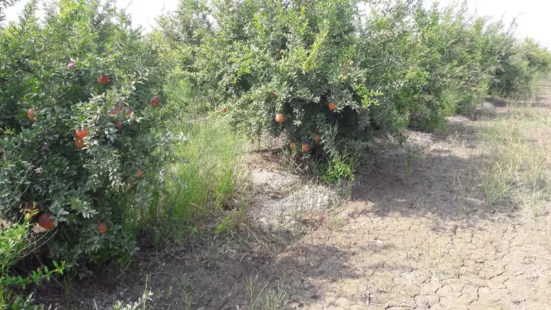 Mi̇racle Otel Futbol Kompleksi̇ - Photo 5