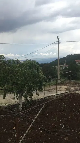 Moryer Yaylası - Photo 5