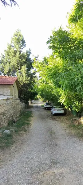 Moryer Yaylası - Photo 7