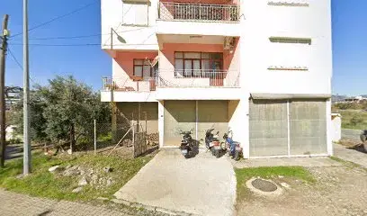 Moy Taşimacilik