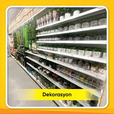 Mr.Diy