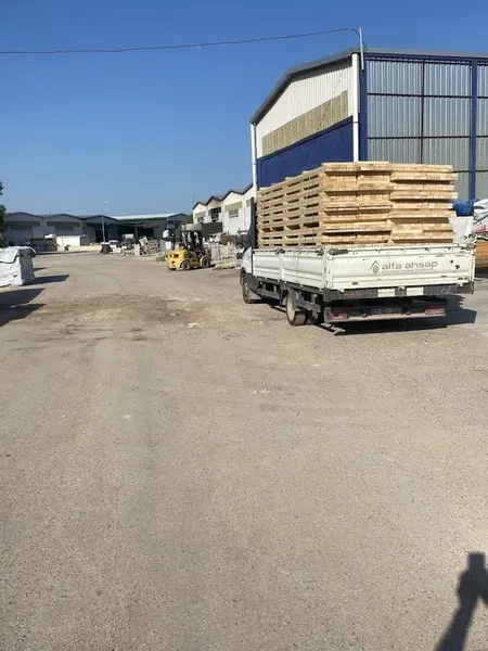 Ms alfa Ahşap mimarlık - Photo 1