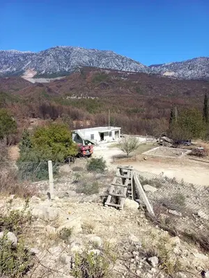 Murtbel Fire Tower