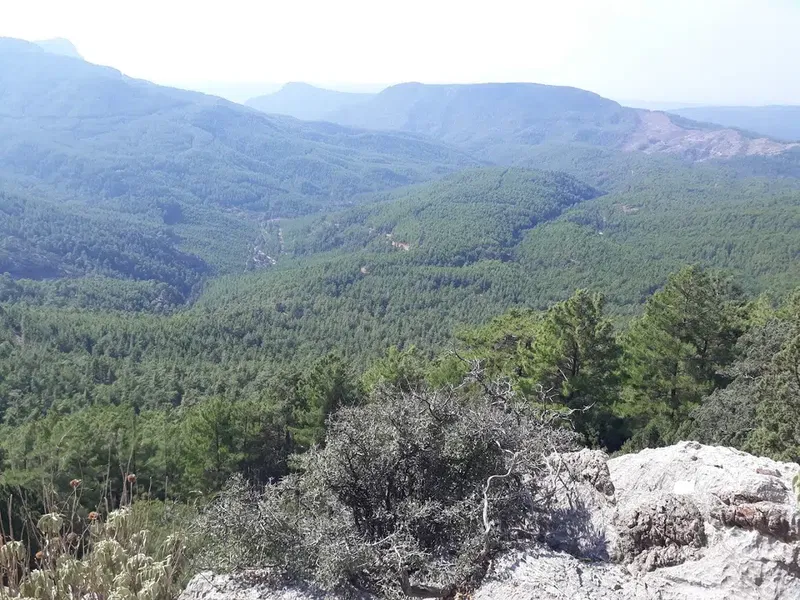 Murtbel Fire Tower - Photo 3