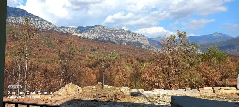 Murtbel Fire Tower - Photo 10