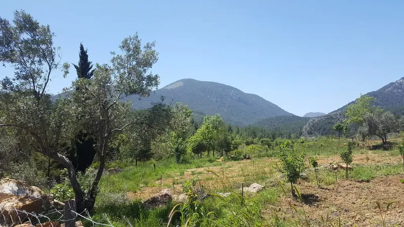 Murtiçi Köyü Cami - Photo 2