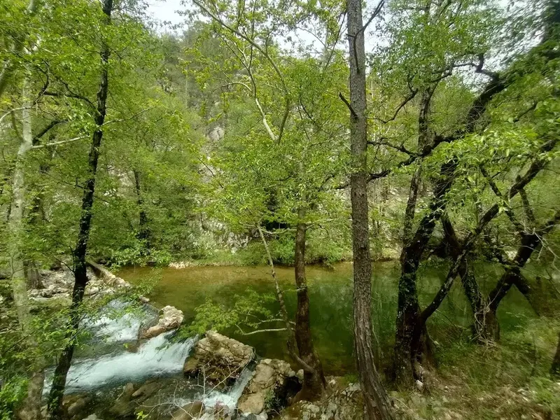 Murtiçi - Photo 2