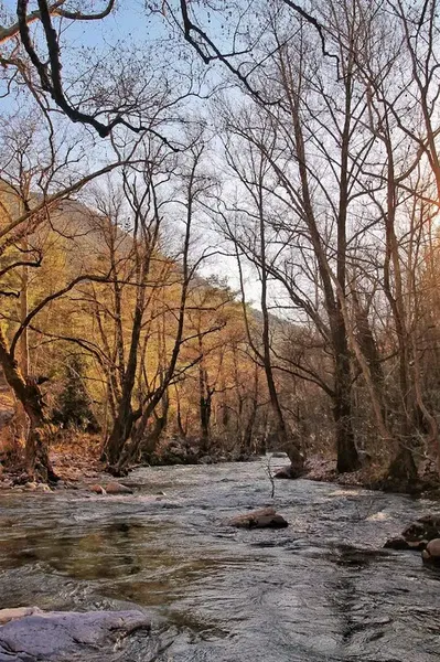 Murtiçi - Photo 4