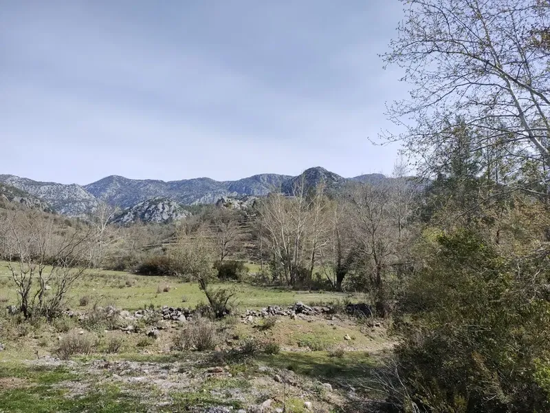 Murtiçi - Photo 7