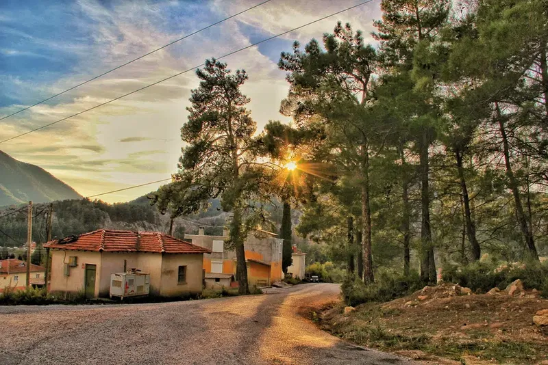 Murtiçi - Photo 8