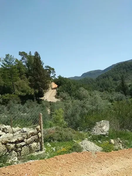 Murtiçi - Photo 10