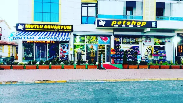 Mutlu Akvaryum