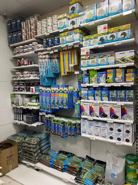 Mutlu Akvaryum - Photo 3