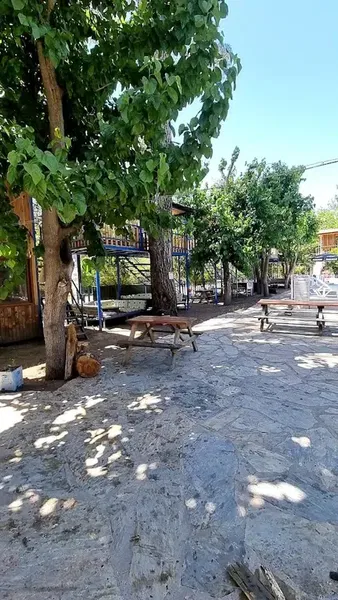 Mutlu Pansiyon Olympos - Photo 9