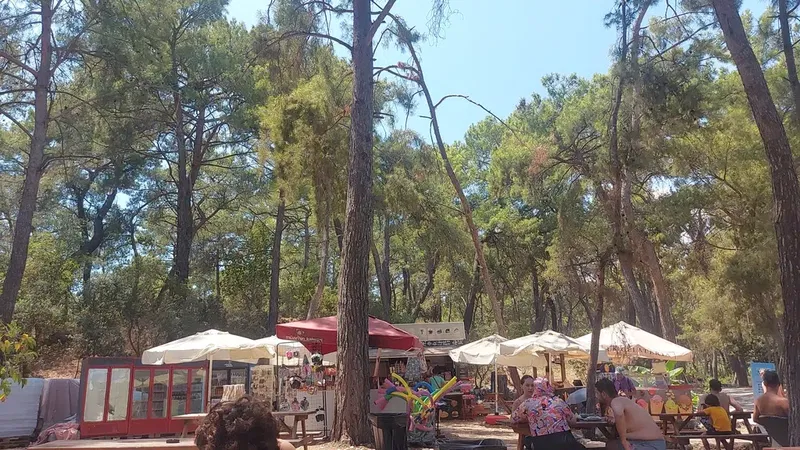 Müze'nin Kafesi - Photo 1
