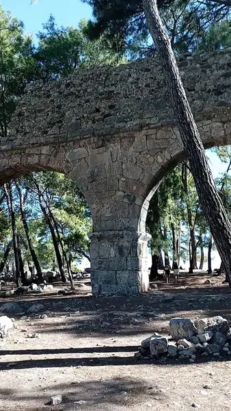 Müze'nin Kafesi - Photo 2