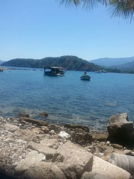 Müze'nin Kafesi - Photo 5