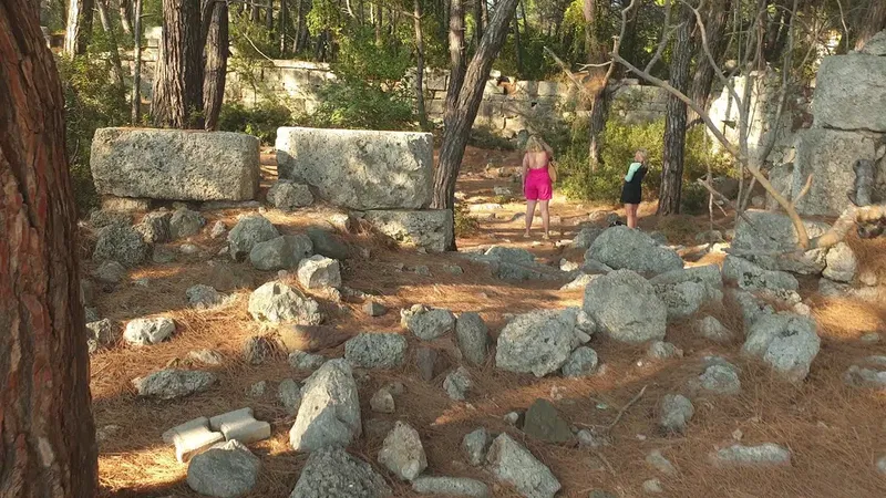 Müze'nin Kafesi - Photo 7
