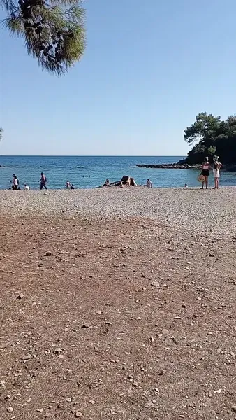 Müze'nin Kafesi - Photo 10