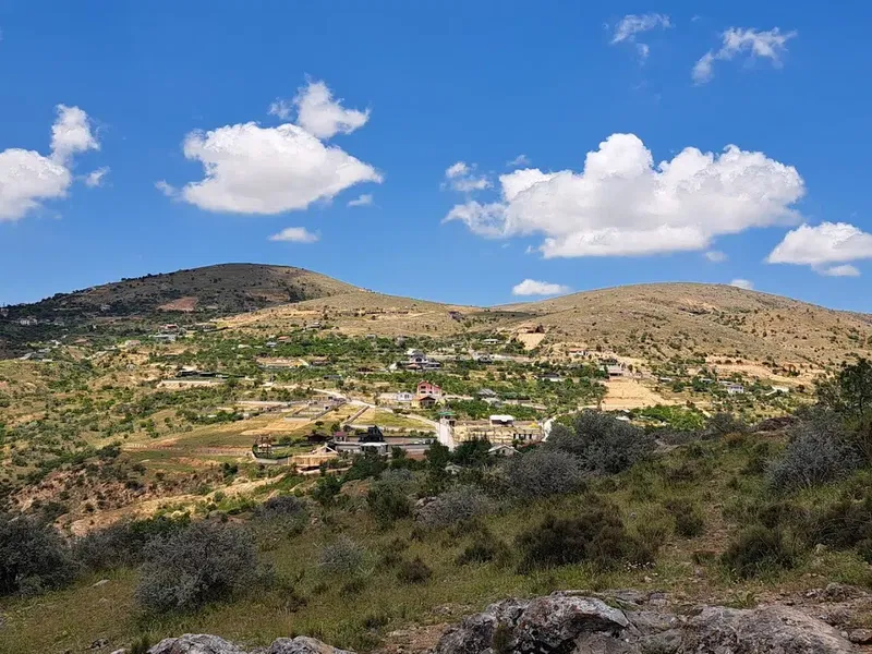 Mızrak Bağ Evi - Photo 8