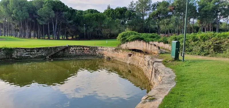 National Golf Club - Photo 10