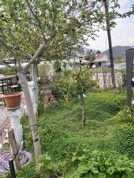 Nazar restoran - Photo 6