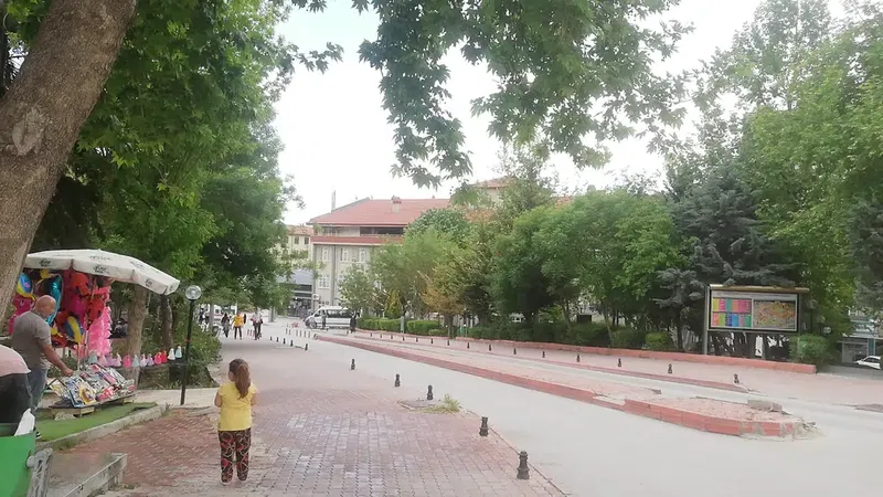 Necmettin Erbakan Üniversitesi KONÜDAM Deneysel Tıp Uygulama ve Araştırma Merkezi Müdürlüğü - Photo 1