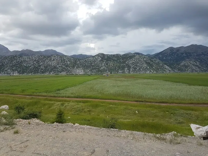 Nergiz çilek bahçesi - Photo 1