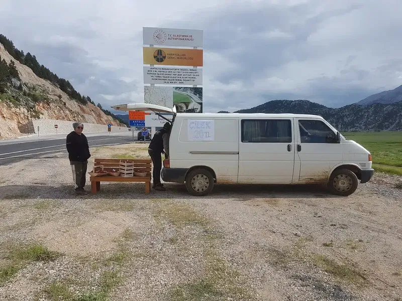 Nergiz çilek bahçesi - Photo 5