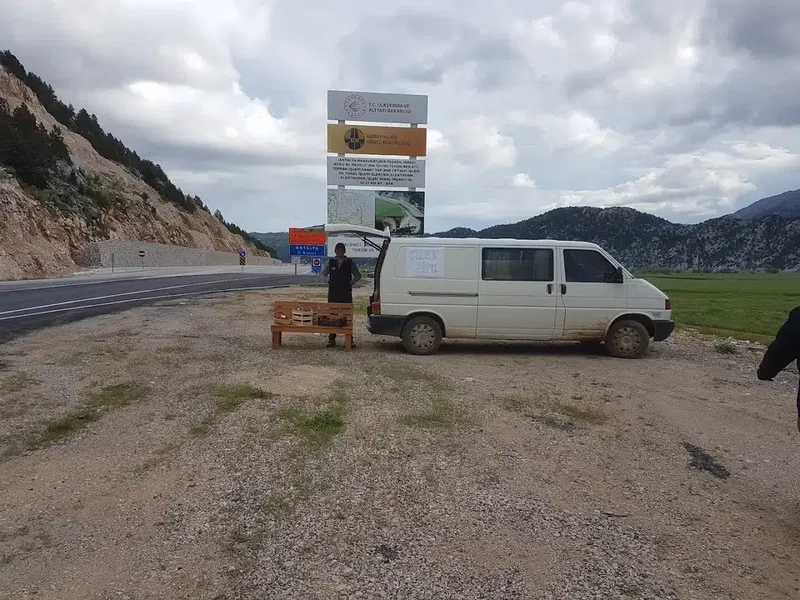 Nergiz çilek bahçesi - Photo 6