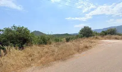 Nill Dünyası