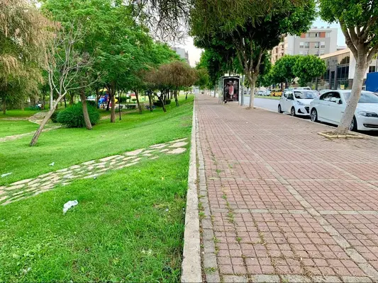 Niyan Kedi Parkı