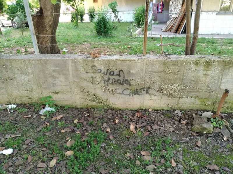 Niyan Kedi Parkı - Photo 3
