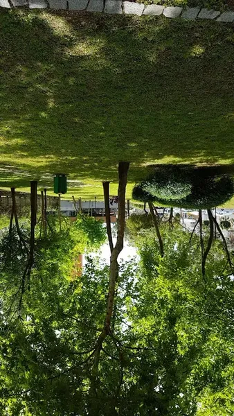 Niyan Kedi Parkı - Photo 8
