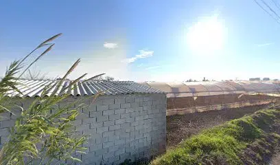 Nova EDT Gıda