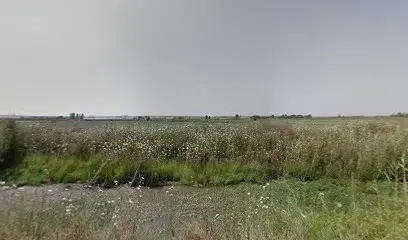 Nutries İlaç Kozmetik ve Sağlık Ürünleri