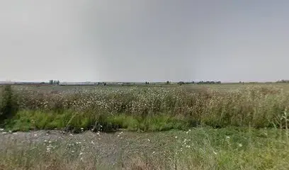Nutries İlaç Kozmetik ve Sağlık Ürünleri - Photo 1