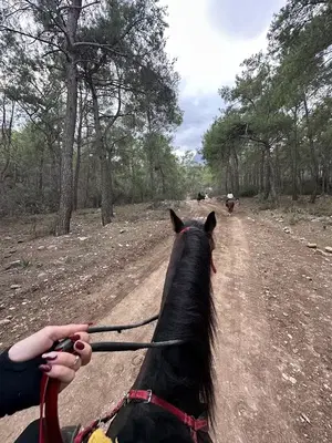 Oasi̇s Ranch & At Çi̇ftli̇ği̇