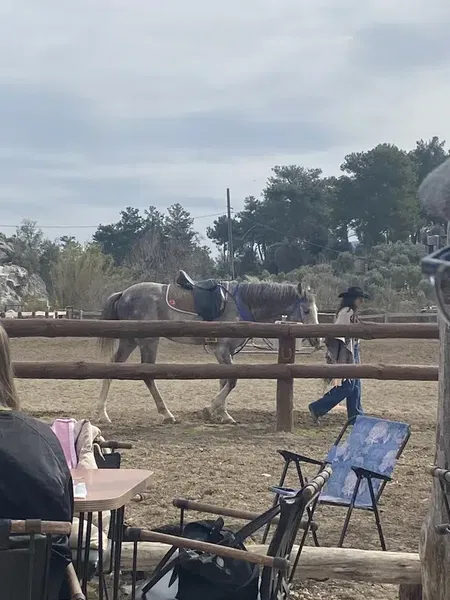 Oasi̇s Ranch & At Çi̇ftli̇ği̇ - Photo 6