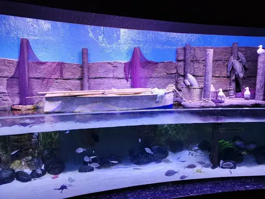 Oceanride
