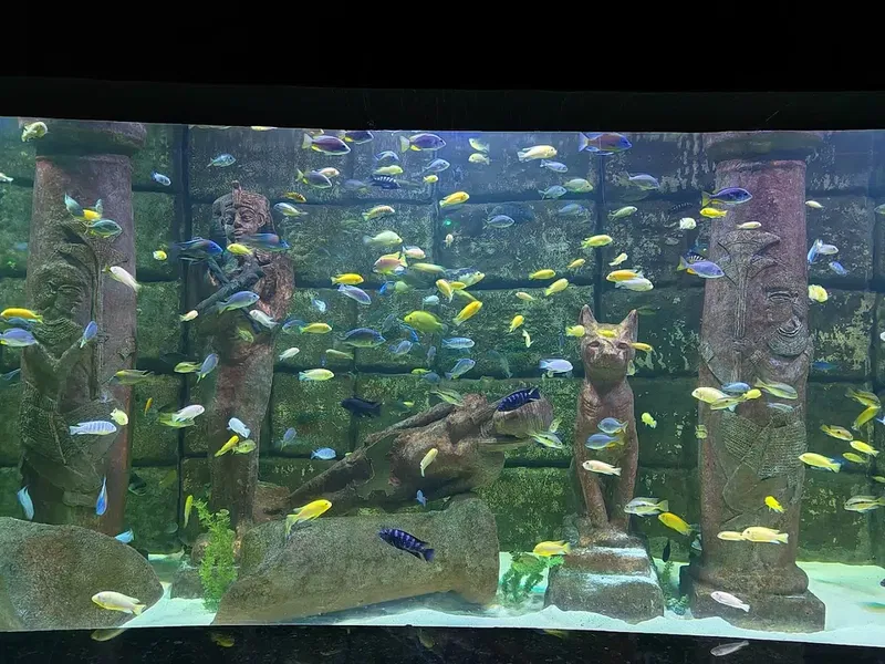 Oceanride - Photo 3