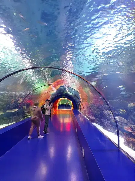 Oceanride - Photo 8