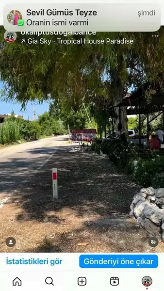 Okaliptus doğal bahçe - Photo 2