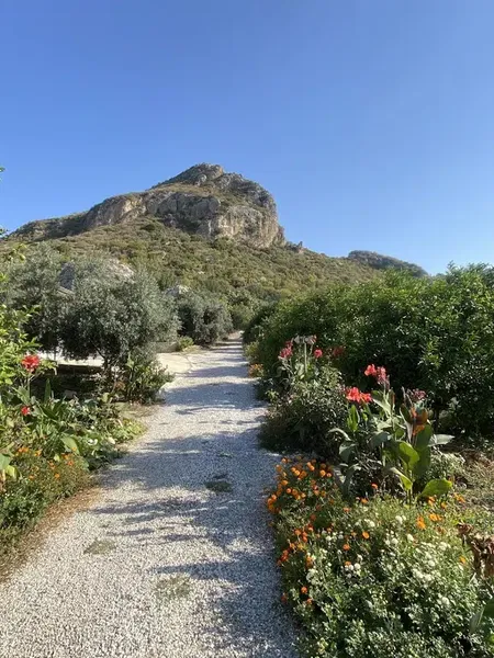 Okaliptus doğal bahçe - Photo 3