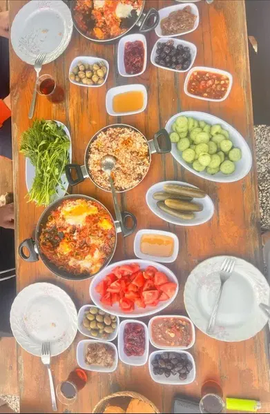 Okaliptus doğal bahçe - Photo 6