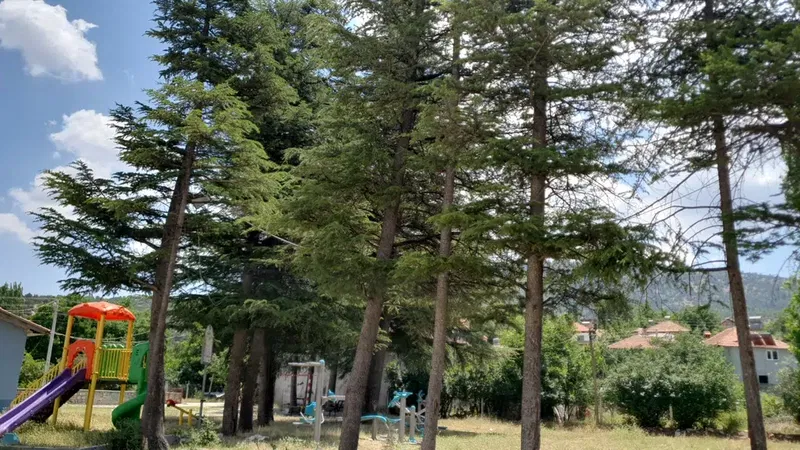 Okul önü - Photo 6