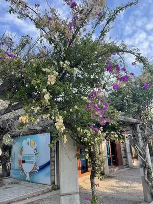 Olbia Cultural Center