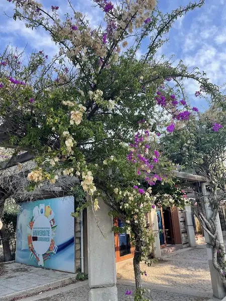 Olbia Cultural Center - Photo 1