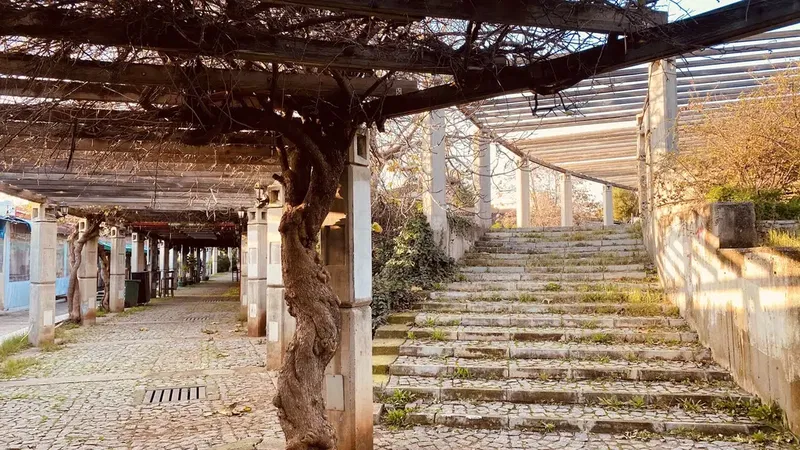Olbia Cultural Center - Photo 3
